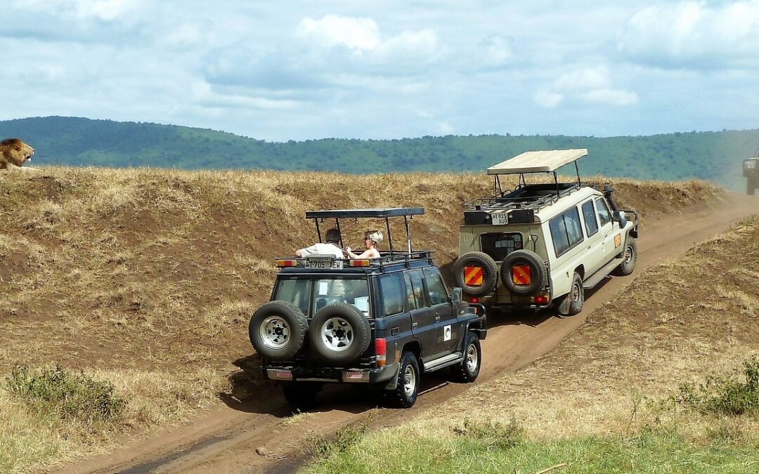 Ngorongoro Classic Safari, 2 Days