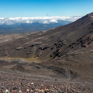 9 Day Kilimanjaro Climb Northern Circuit